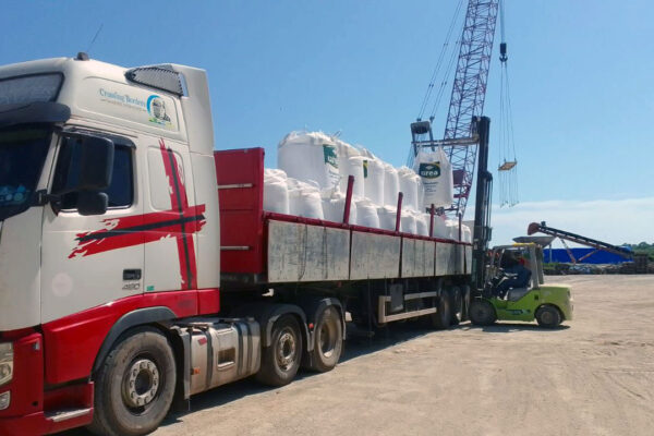 quem-somos-dreymoor-brasil-2 quem-somos-dreymoor-brasil-2