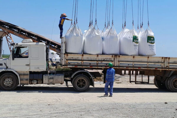 quem-somos-dreymoor-brasil-4 quem-somos-dreymoor-brasil-4