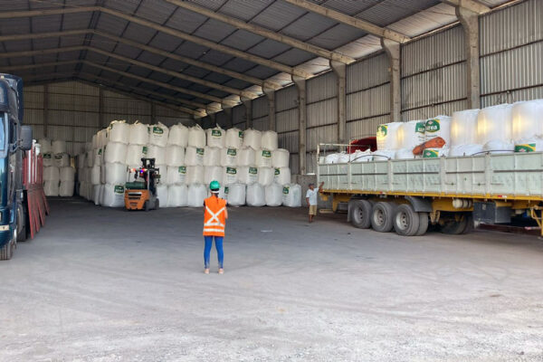 quem-somos-dreymoor-brasil-6 quem-somos-dreymoor-brasil-6