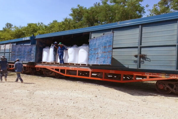 quem-somos-dreymoor-brasil-7 quem-somos-dreymoor-brasil-7