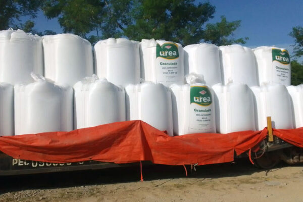 quem-somos-dreymoor-brasil-8 quem-somos-dreymoor-brasil-8