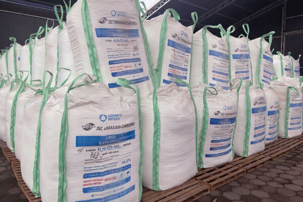 quem-somos-dreymoor-brasil-9 quem-somos-dreymoor-brasil-9